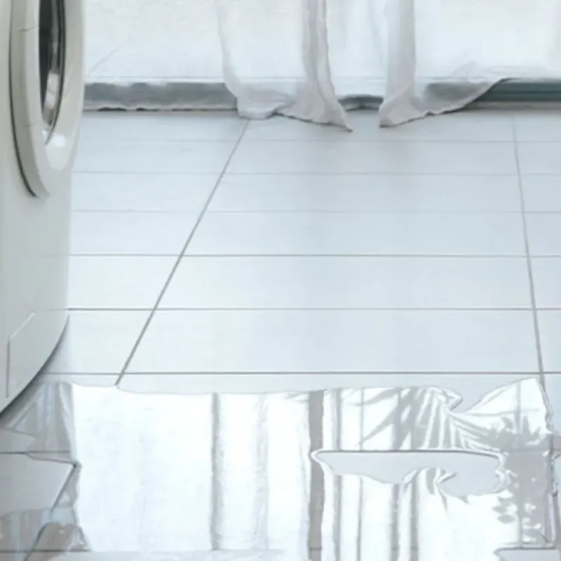 Appliance Leak Cleanup in Oelwein, IA