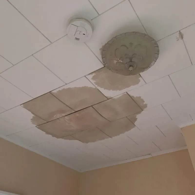 Ceiling Water Damage Repair in Oelwein, IA