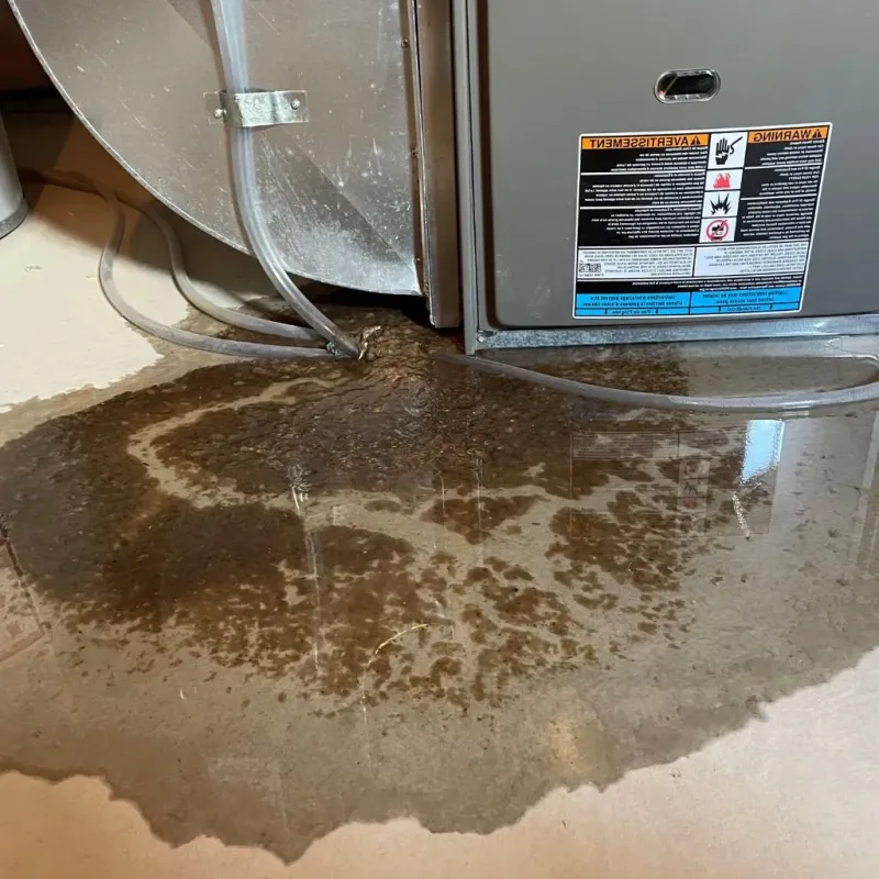 Pipe Burst and Leak Restoration in Oelwein, IA