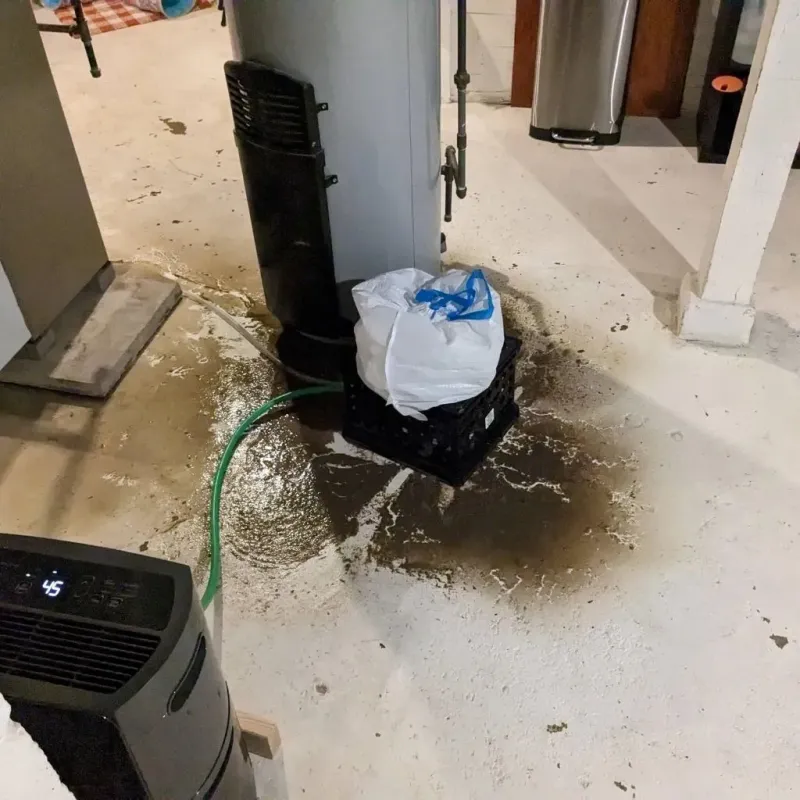 Sewage Backup Cleanup Service in Oelwein, IA